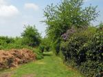 Fechenheim Greenbelt, © Stadtplanungsamt Stadt Frankfurt am Main