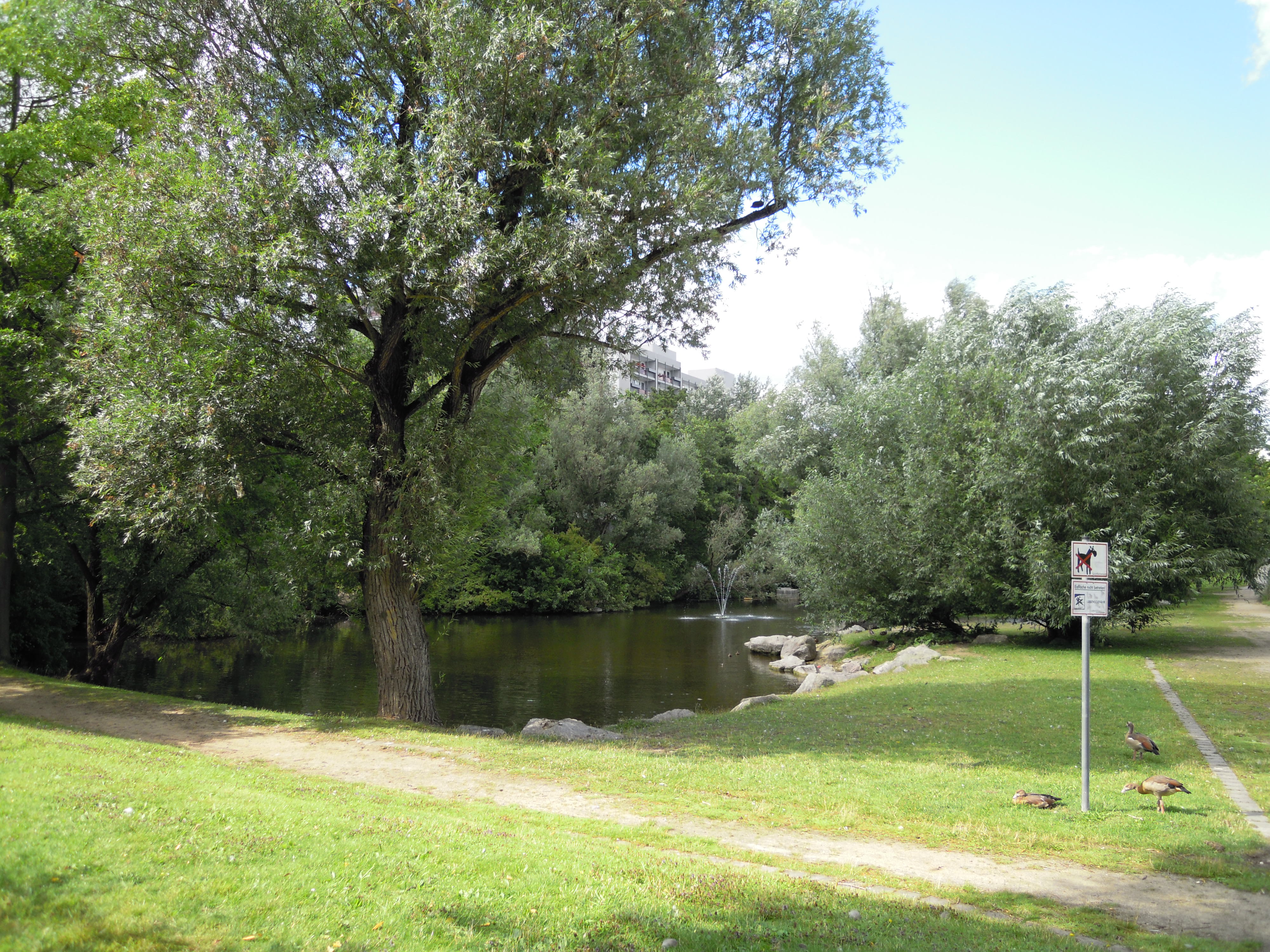 Bügelsee © Stadtplanungsamt Stadt Frankfurt am Main 