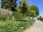 Die Bastionen und Stützmauern in der Römerstadt werden saniert, © Stadtplanungsamt Stadt Frankfurt am Main 