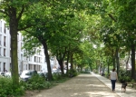 Frankenallee gr&uuml;ne Promenade, &copy; Stadtplanungsamt Stadt Frankfurt am Main  